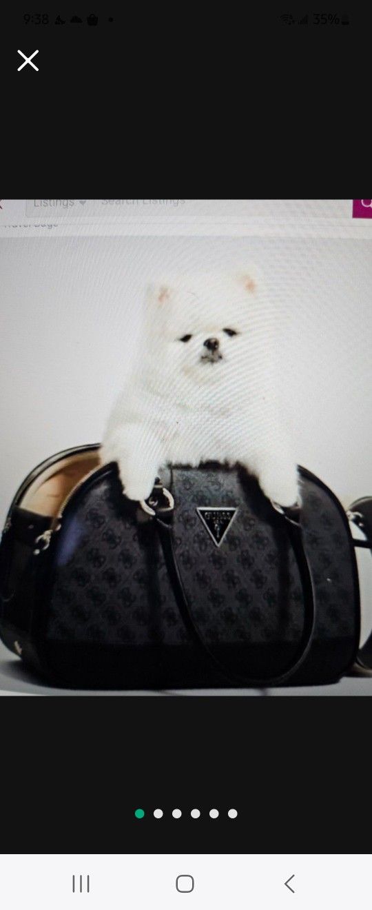 Pet/Dog Carrier,Like New