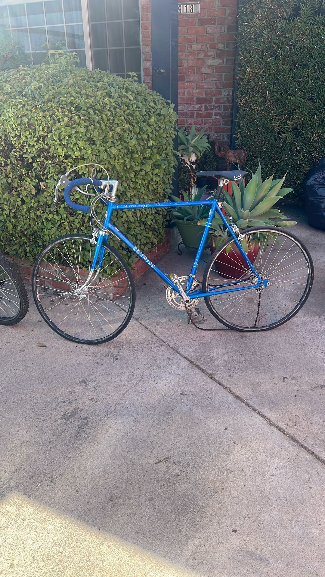 Shwinn 10 Speed Bike