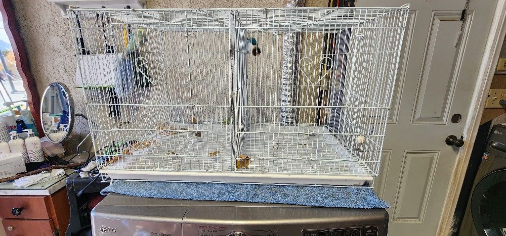 Bird Cage With Divider