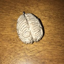 Brain necklace pendant (made by me)