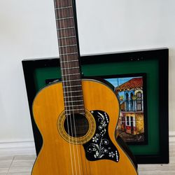Takamine-Guitar- EC-128-Acoustic 