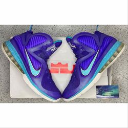Nike Lebron 9 Summit Lake Hornets 10 Men