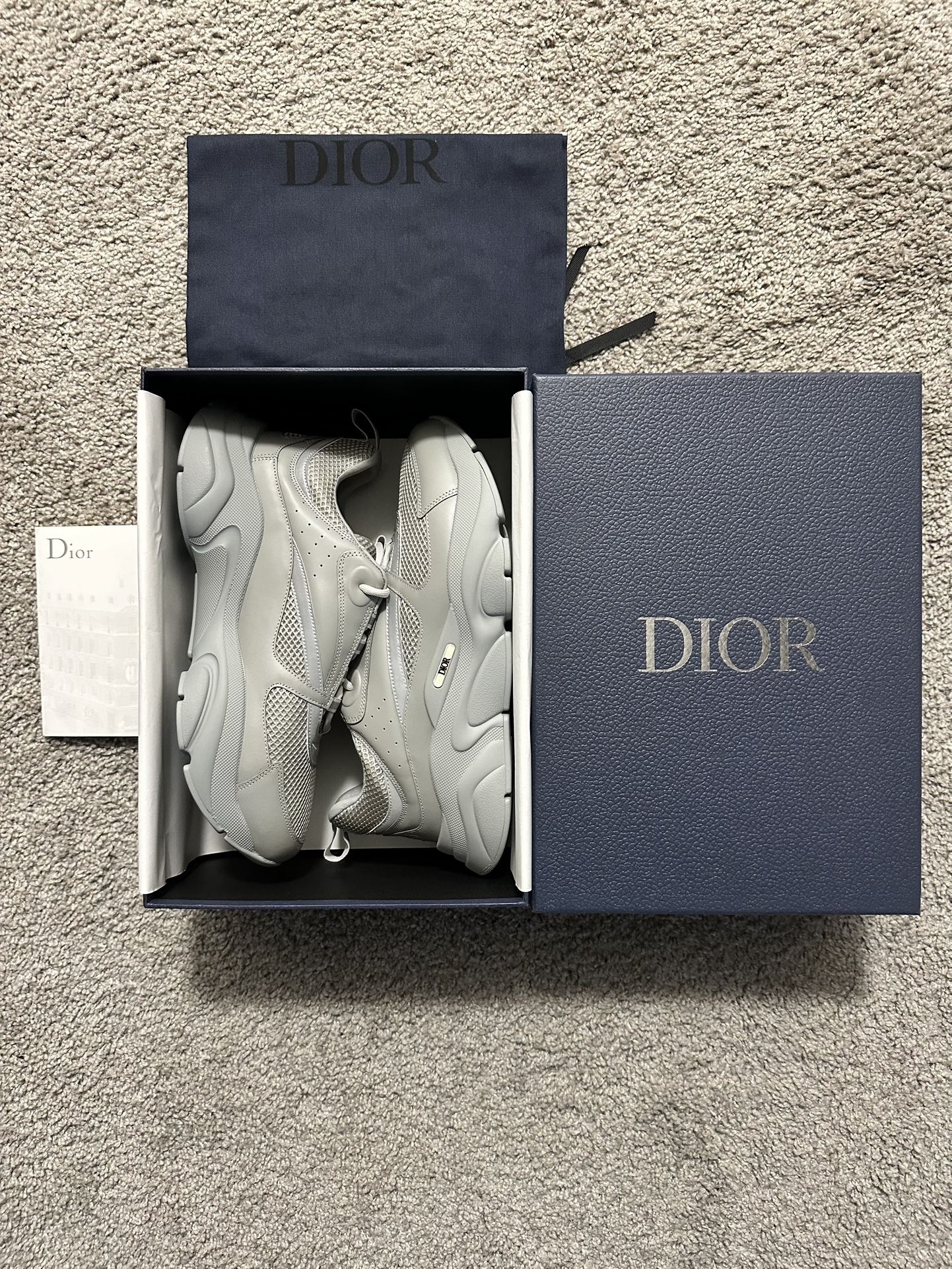 Dior B22