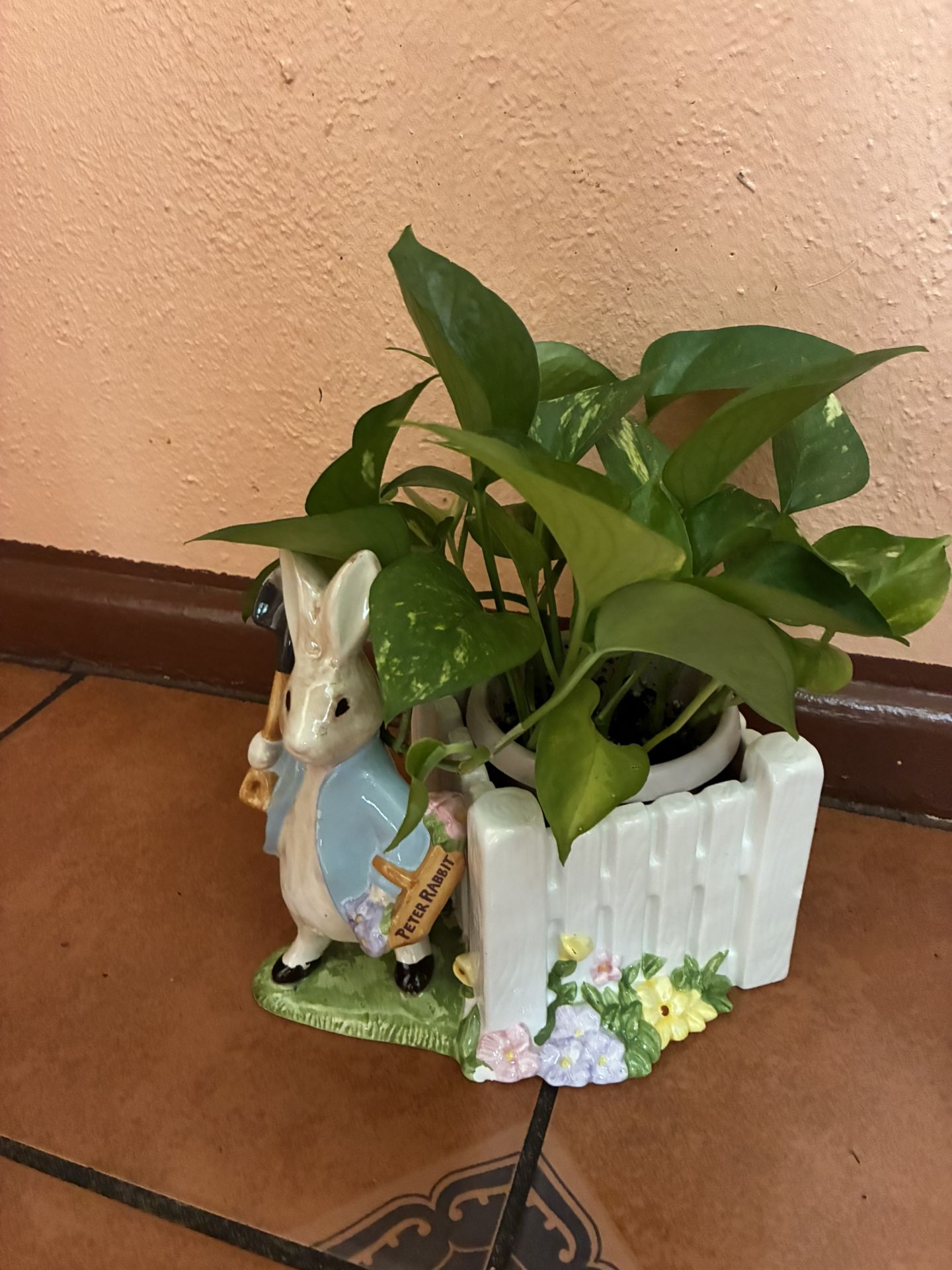 Maceta Muy Bonita Finura Un Conejito Muy Ermosa