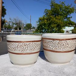 Plants Pots