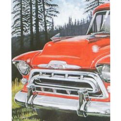 Nos oem 1957 Chevy truck panel Suburban cameo hood ornaments