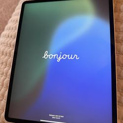ipad pro 4th gen