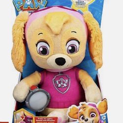paw patrol