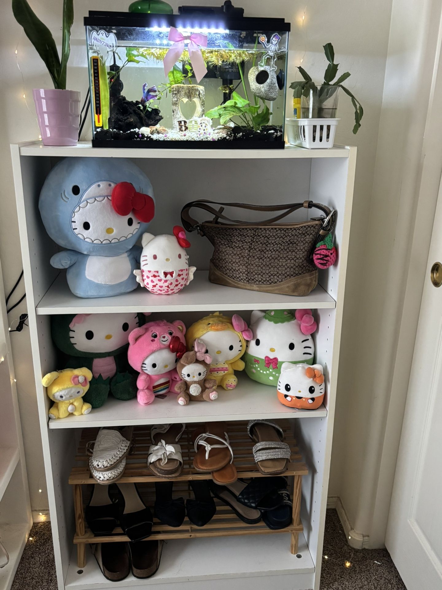 Bookshelve