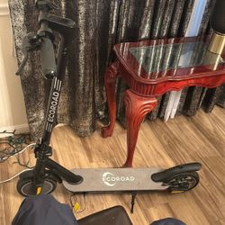Eco Road  Electric Scooter
