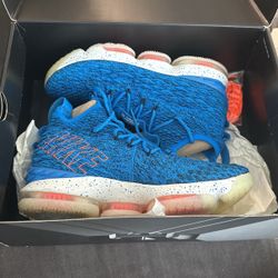 Lebron James’ 17’s Size 11.5
