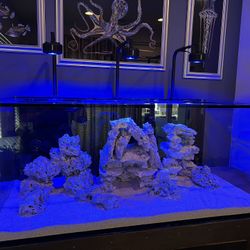 Reef Aquarium