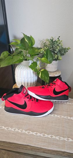 Kids shoes Nike Team Hustle D9