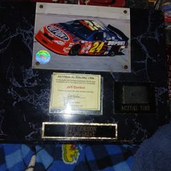 Jeff gordon picture