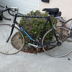 Schwinn Aluminum 354 Road Bike