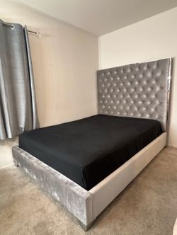 Gray Velvet Tufted Bed Frame – Like New