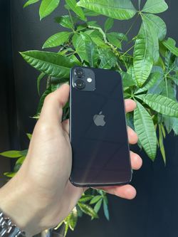 iPhone 12 Mini - Unlocked - 128GB