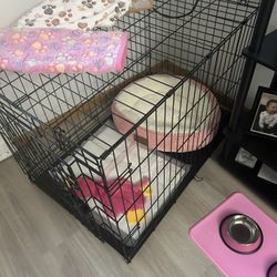 Need To Sell ASAP For Family-OBO