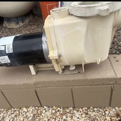 Whisper Flo Pool Pump 2HP 