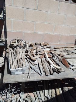 Assorted driftwood, rocks