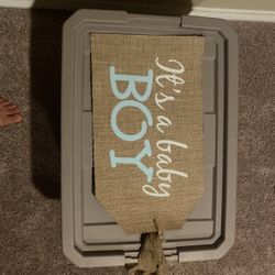 Baby Boy Announcement 