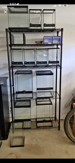 Multiple Terrariums Available
