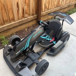 Segway go kart pro 2