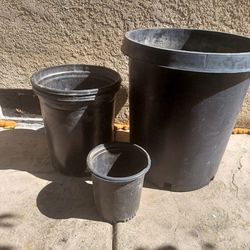 Different Size Plant Pots