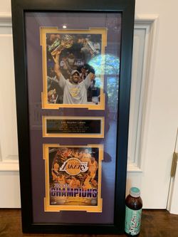 2009 Lakers picture