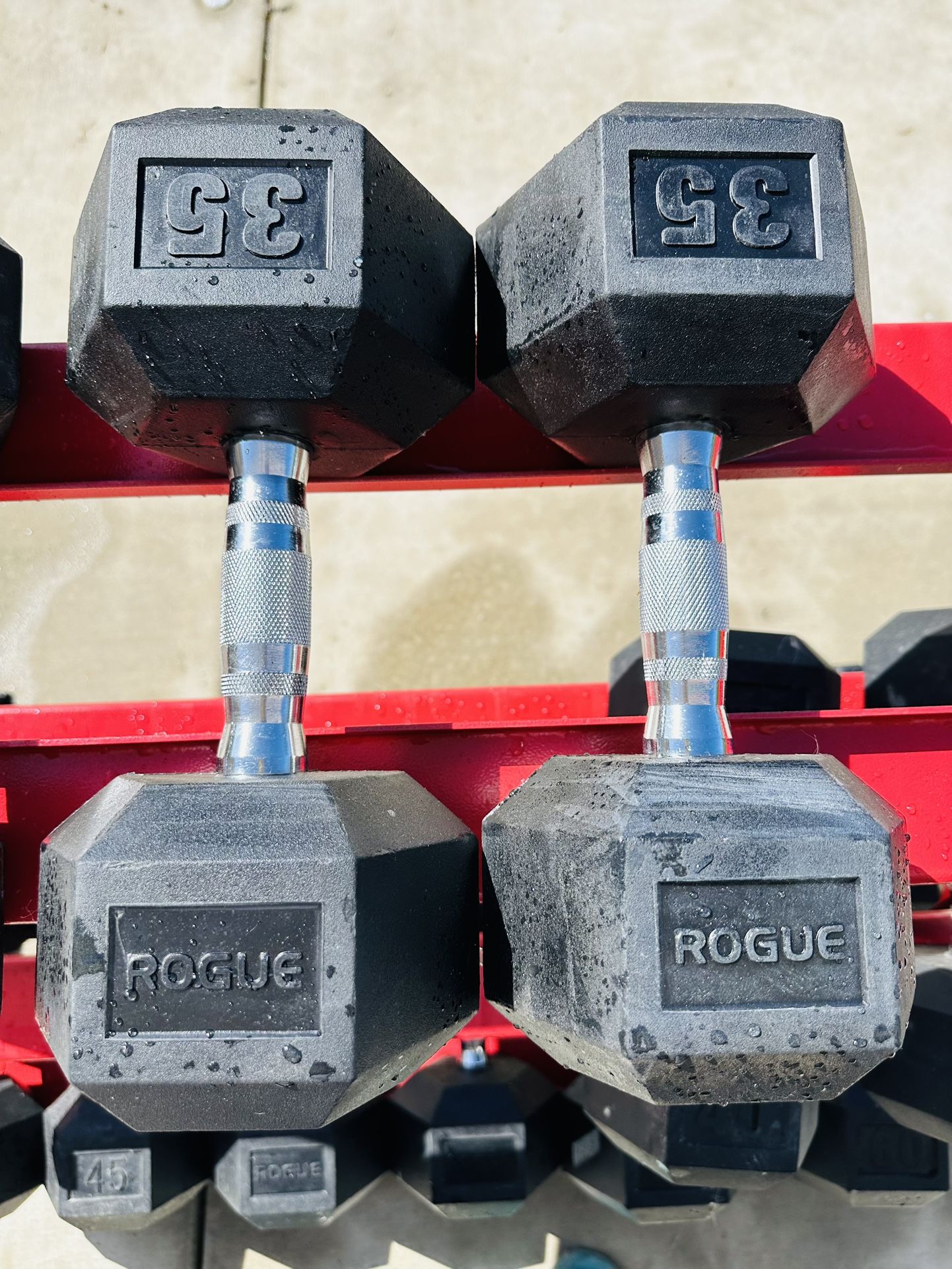 Rogue 35 Lb Dumbbells