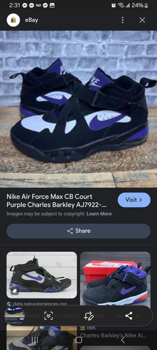 Rare Nike Air Force Max CB OG Court Purple And Black Charles Barkley for Sale in Jacksonville FL OfferUp