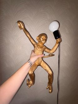 Monkey wall hanging lamp