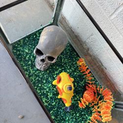 Aquarium An Shown Accessories
