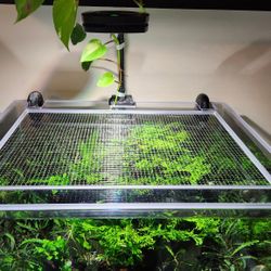 Custom Aquarium Lids by Fragtide — Built for YOUR Tank