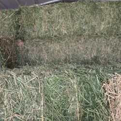 Alfalfa Hay 100-110lb