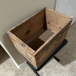 Antique Remington Shur Shot Box Crate