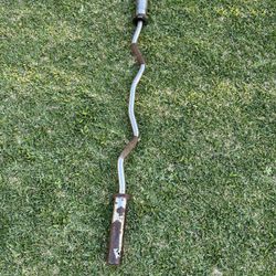 Olympic Curl Bar
