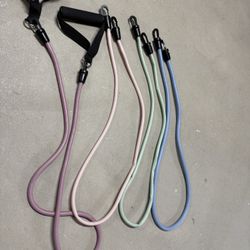 Exercise Bands