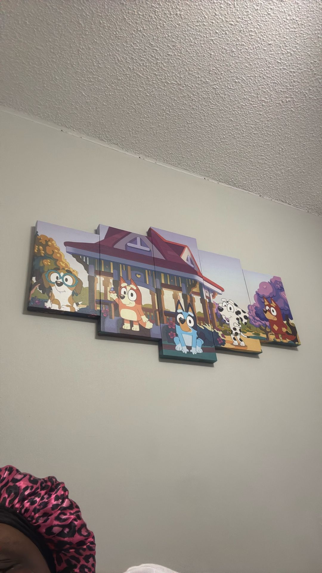 Bluey Room Pictures