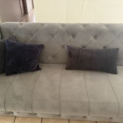 Grey Sectional Couch
