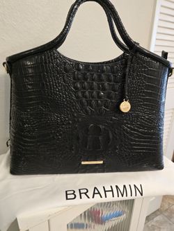 Brahmin Elaine