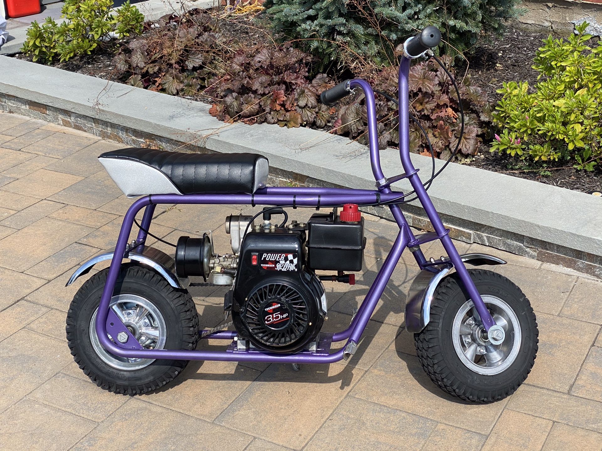 1969 Ruttman Wild Goose minibike For Sale