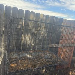 Dog Cages