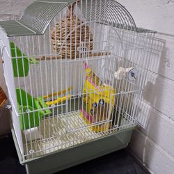 New Bird CAGE $25