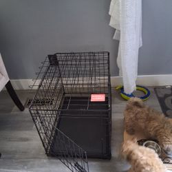 Small And Medium Dog Kennels