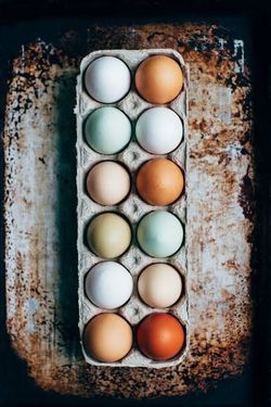 Organic, Yummy, Happy Chicken Eggs that Taste Fabulous