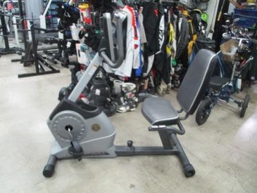 gold gym power spin 290