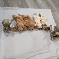 TY beanie babies - cats and dogs