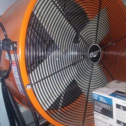 Fan