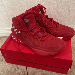 Adidas Basketball Shoe
